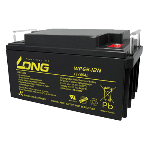 Ắc quy kín khí vrla agm Long 12v-65Ah, WP65-12N